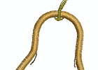 appliquefruit007