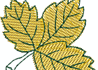 44Leaves01