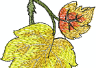 44Leaves02