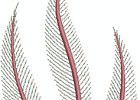 57ac08