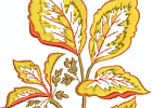 57openworkfallleaves 02