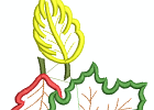 57openworkfallleaves 03