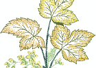 57openworkfallleaves 06