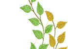 57openworkfallleaves 07