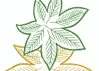 57openworkfallleaves 08