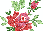 Arose01
