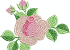 Arose04