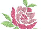 Arose06