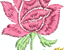 Arose07