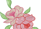 Arose08
