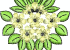 Blumenbaum