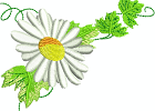 amazingembroiderydesigns-223934-6213