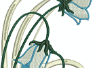 beautifulbluebells 001