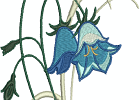 beautifulbluebells 004