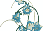 beautifulbluebells 009
