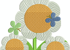 birdsandbears 009 5x7