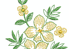 floral-004
