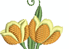 flowers956773