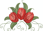 flowers956776