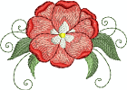 flowers956777