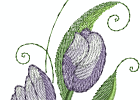 flowers956778