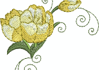 flowers956779