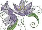flowers956781