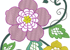 jbviolets66x6