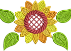 sunflower 1