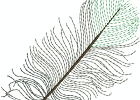 lightasafeather 009