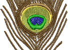 peacoclfeather
