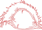 rwhats04