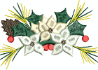 EMS