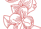 Rwviolets65x7