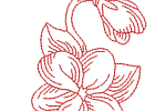 Rwviolets85x7