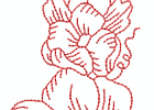 Rwviolets95x7