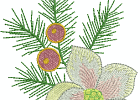 christrose gra