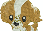 02Heinz57pup