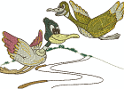 Ente