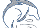 RS Dolphin 003 5x7