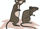 Ratten
