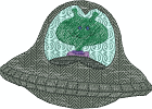 Ufo