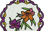 fslfc0002