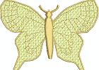 lacebutterfly10