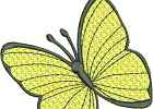 lacebutterfly6