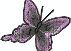 lacebutterfly9