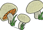 Champignon