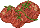 Tomaten-AAS03