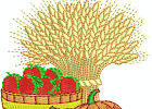 Harvest v1