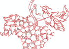 grapes25x7